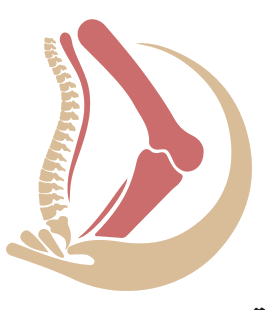 Logo du Cabinet de Rhumatologie Dr Bentaleb